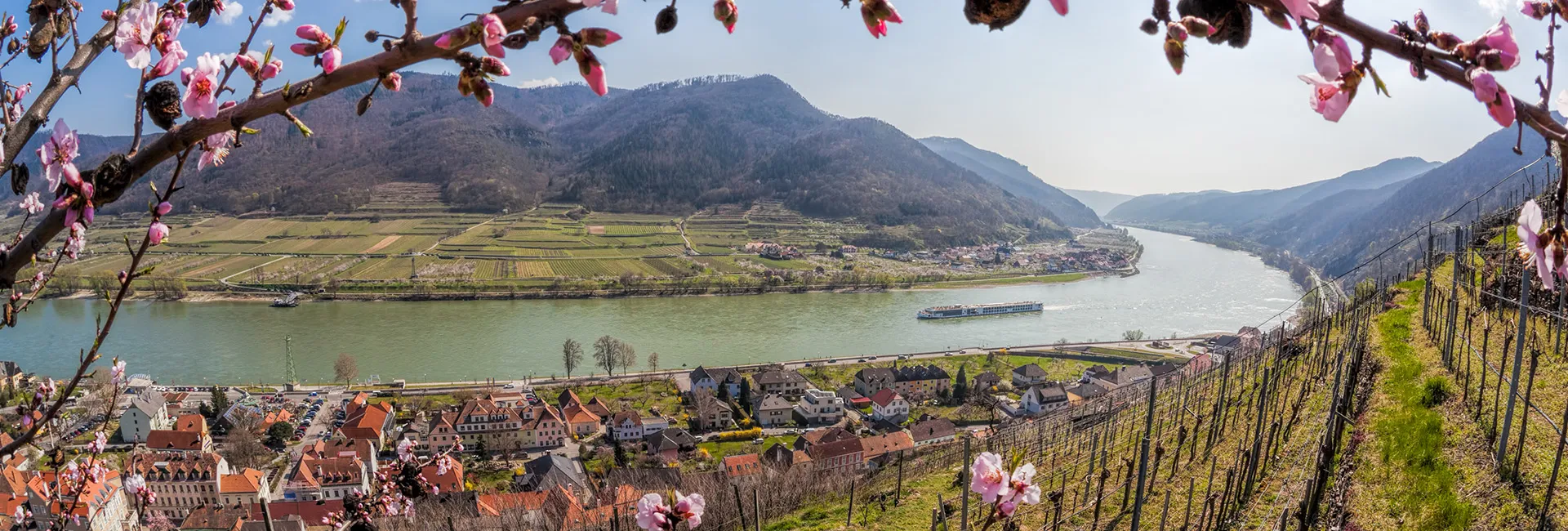 Niederösterreich: Blühende Obstbäume, Donau, Weinberge, Dorf, Hügel