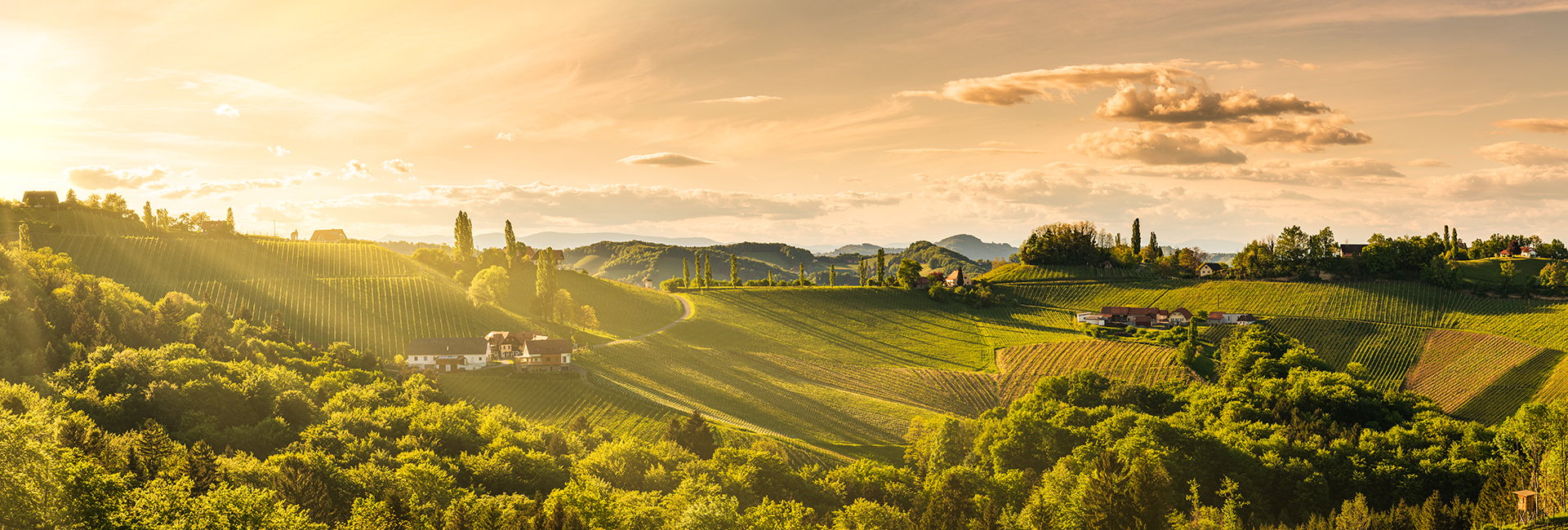 Steiermark: Hügel, Weinberge, Häuser, Sonnenuntergang, Landschaft