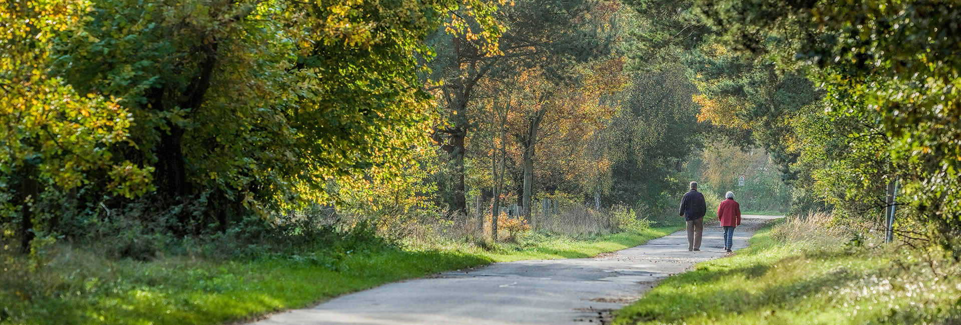 Schritte zur Pension: Älteres Paar spaziert durch Herbstwald